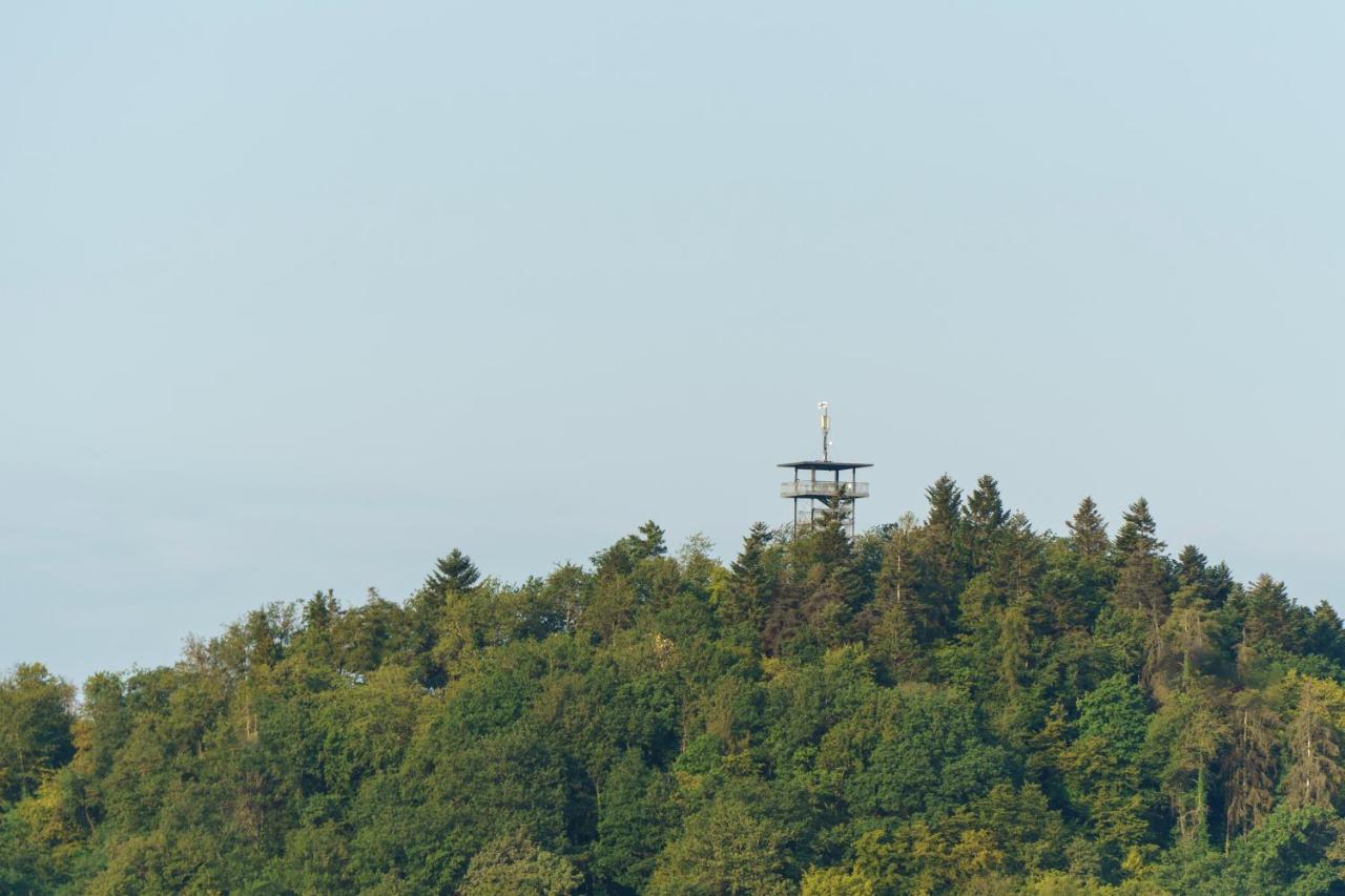 Ferienwohnung Auf Sarret Bullay Buitenkant foto