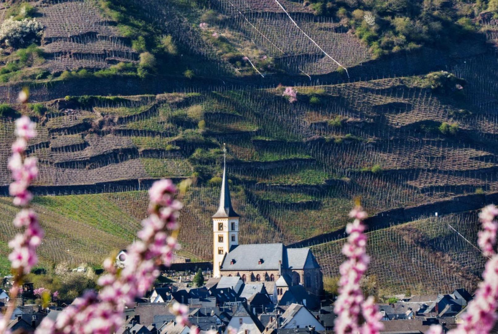 Ferienwohnung Auf Sarret Bullay Buitenkant foto